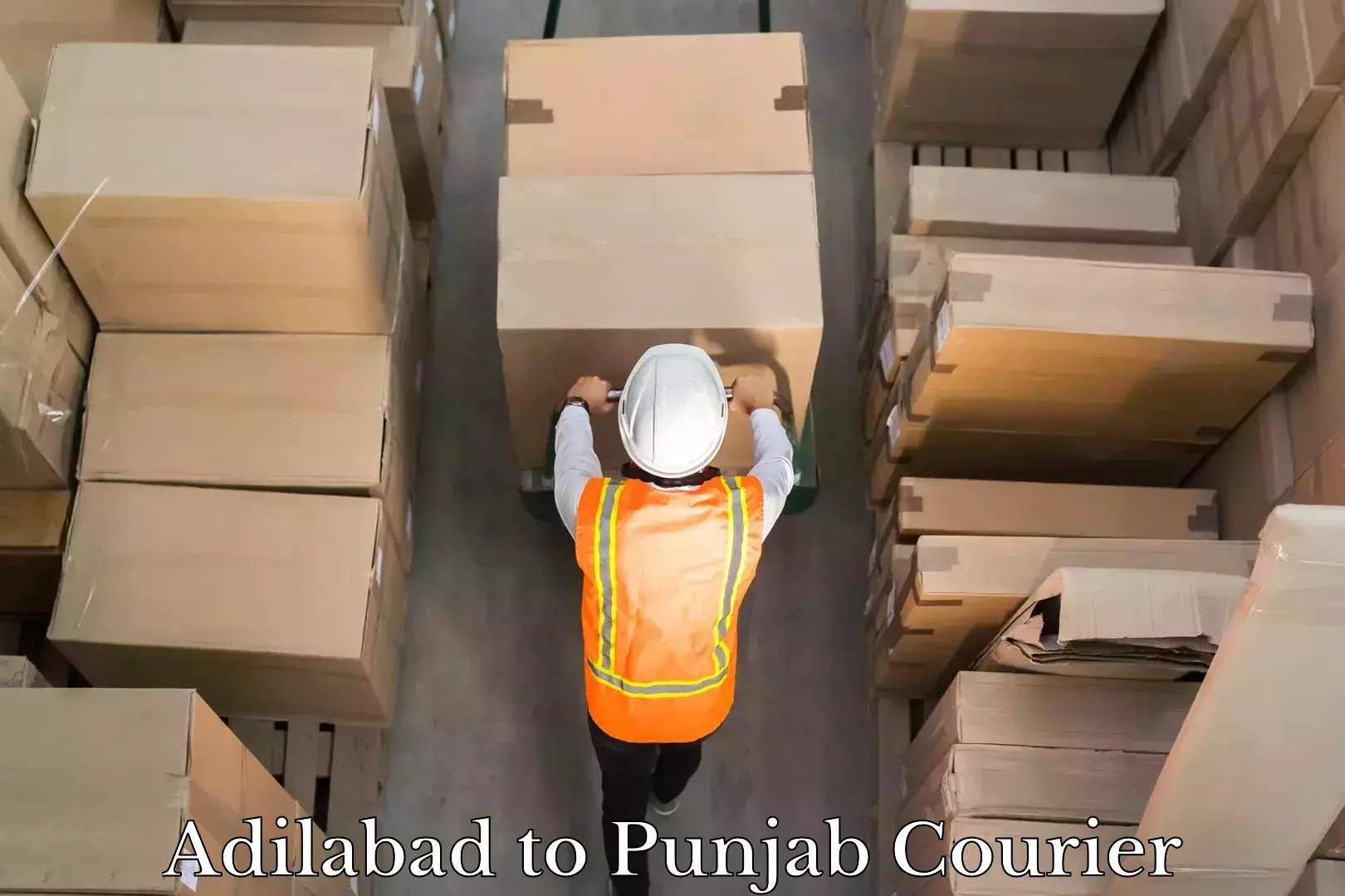 High value parcel delivery Adilabad to Malerkotla