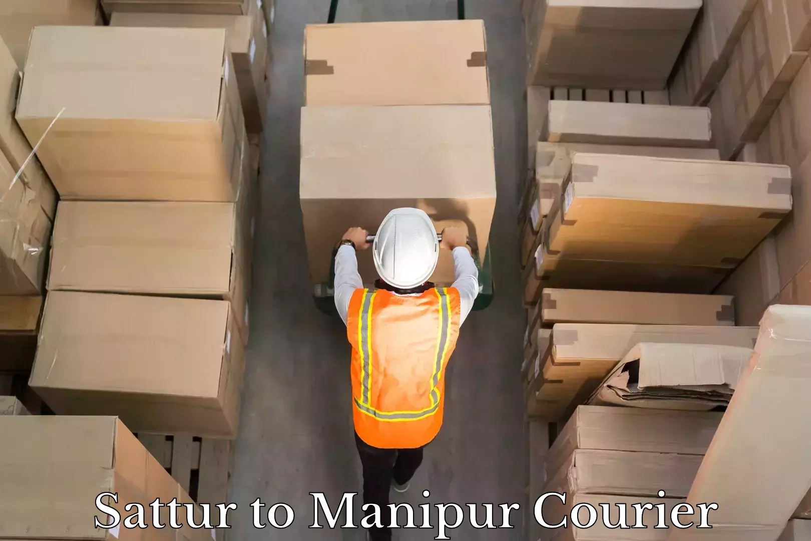 Multi-service courier options Sattur to Manipur