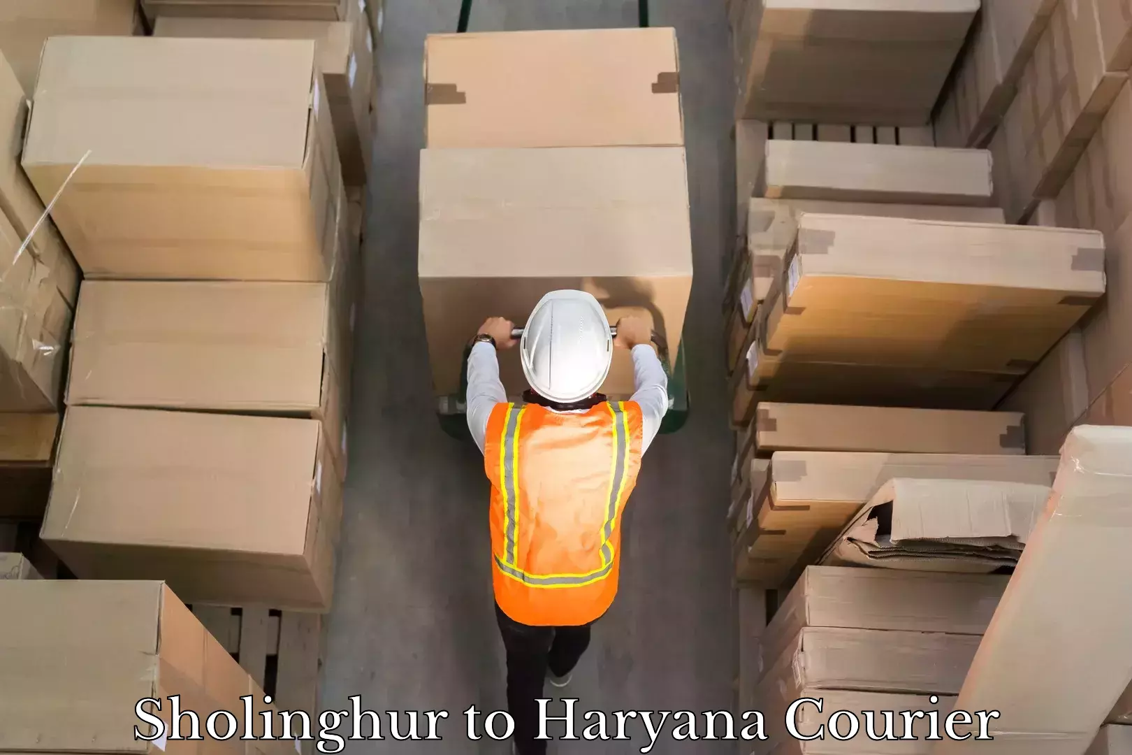 Express logistics providers Sholinghur to Haryana