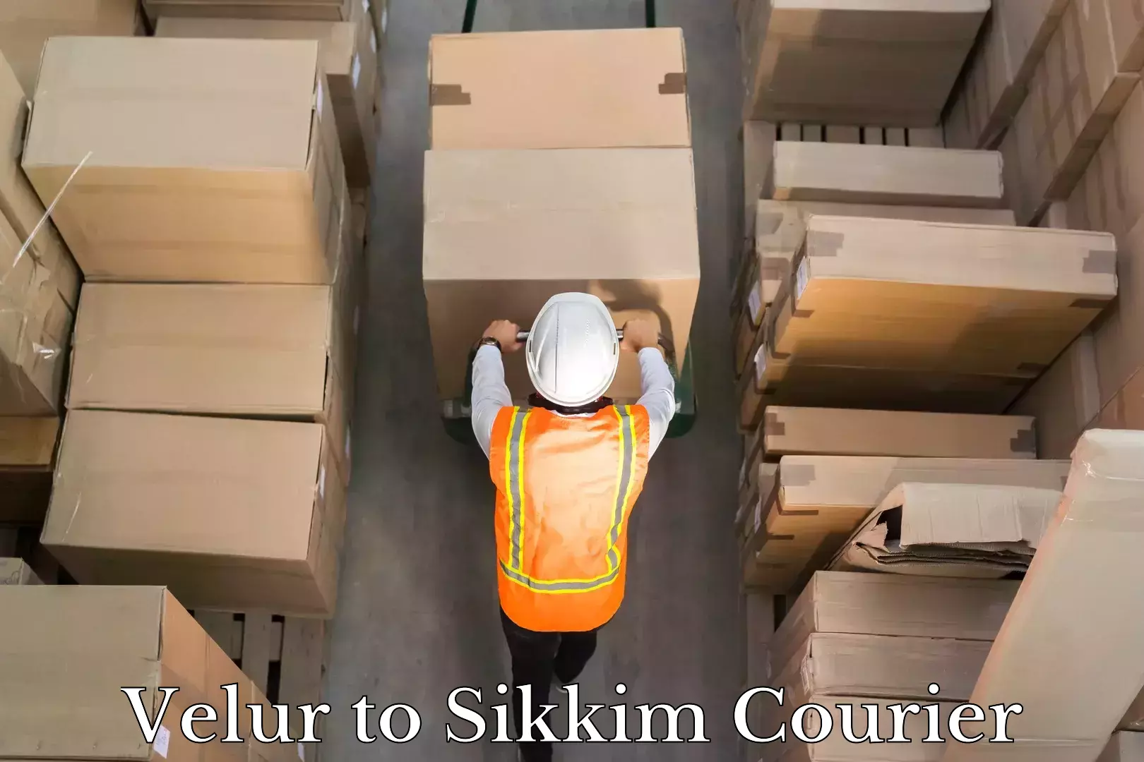 Dynamic parcel delivery Velur to NIT Sikkim