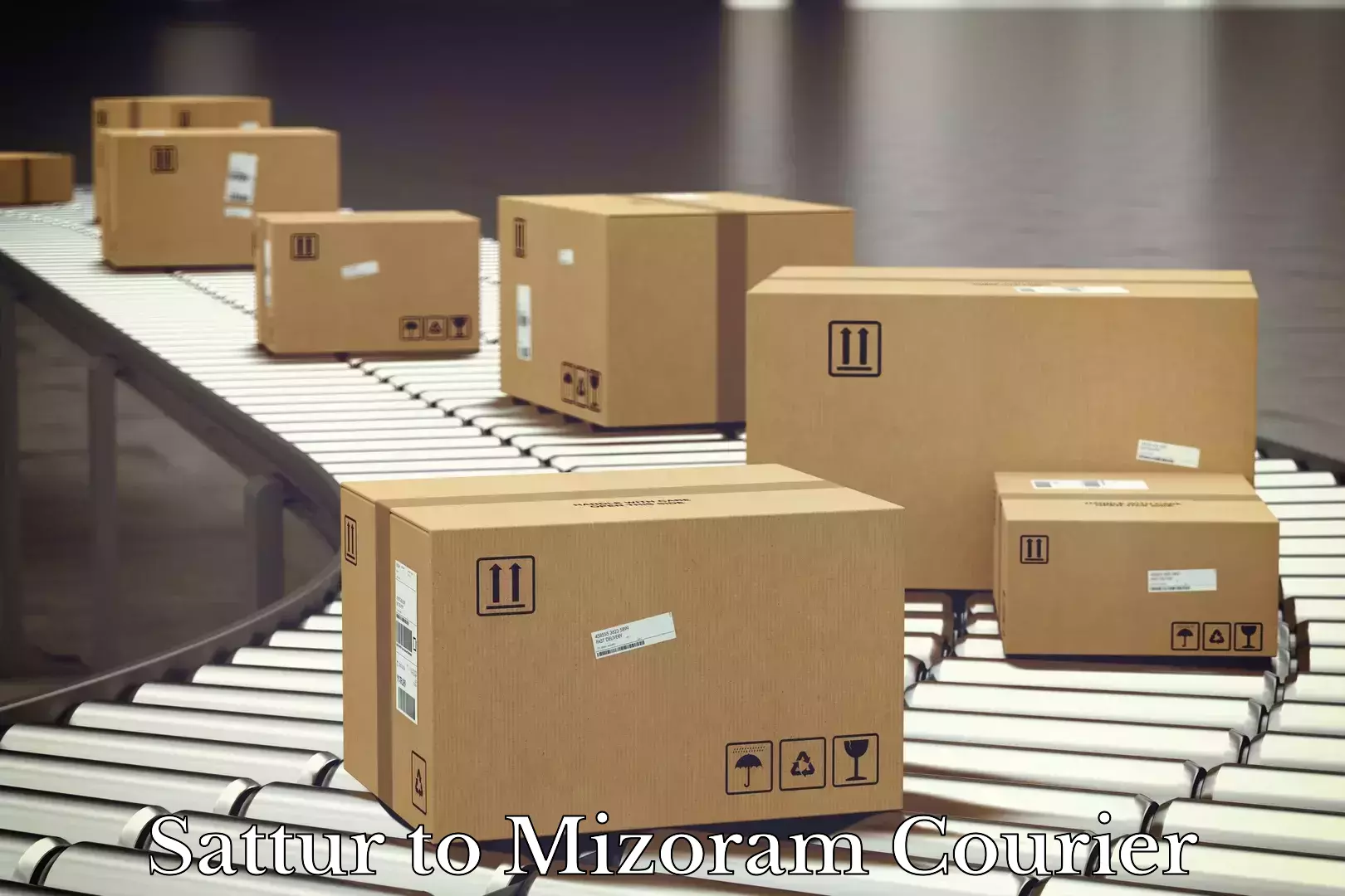 Parcel service for businesses Sattur to Mizoram University Aizawl