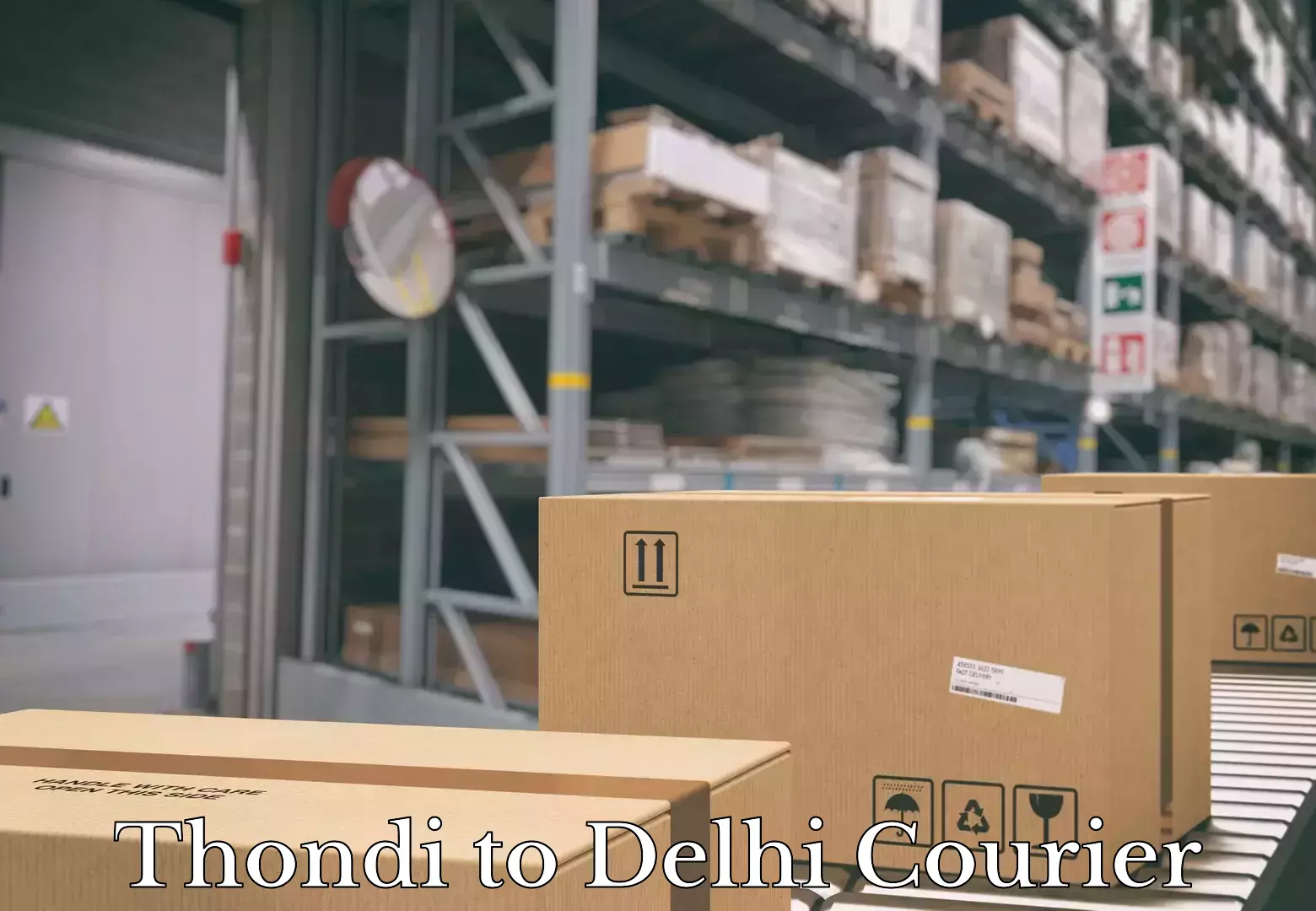 Professional parcel services Thondi to Delhi