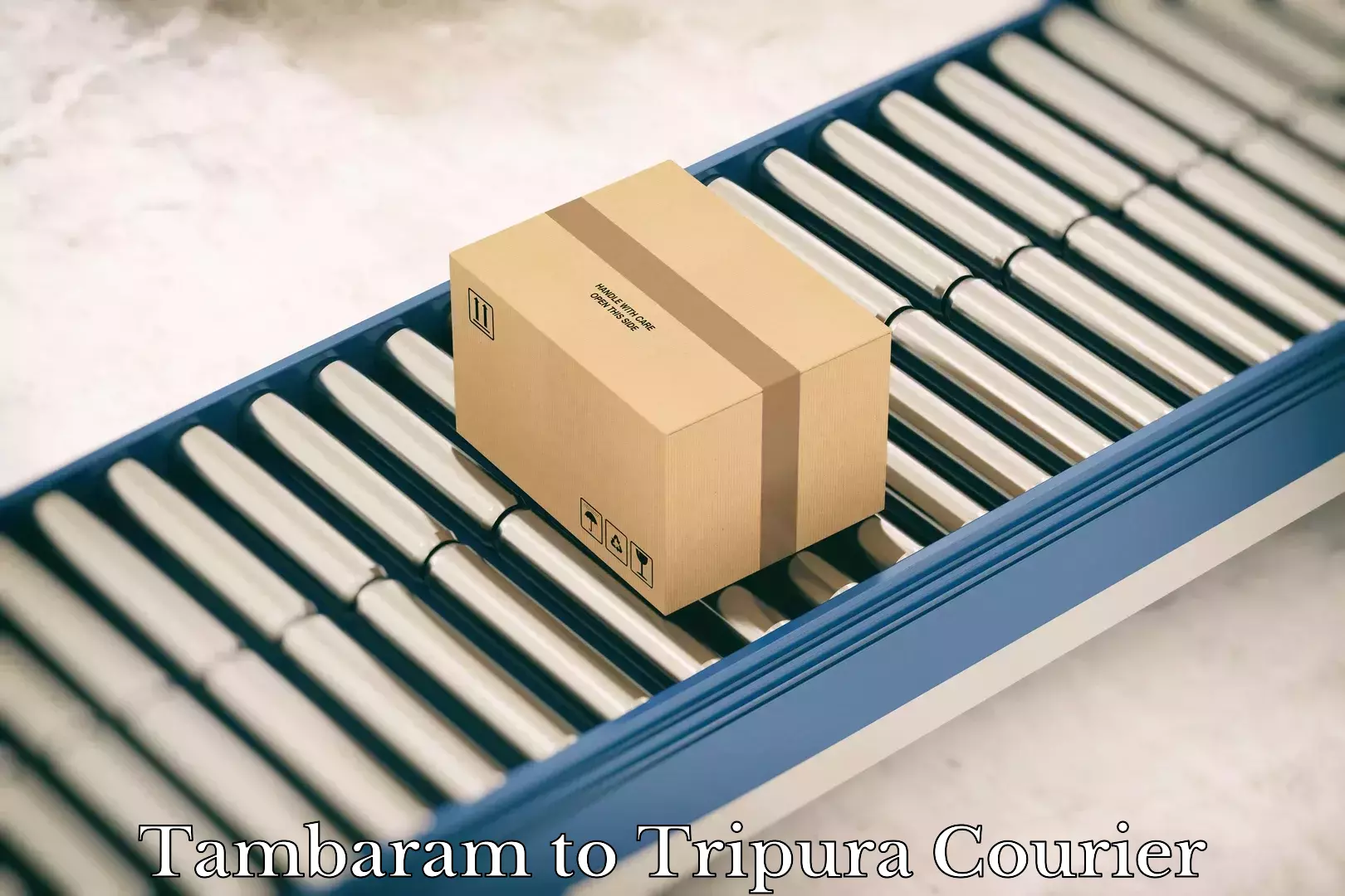 Custom courier packages Tambaram to Tripura