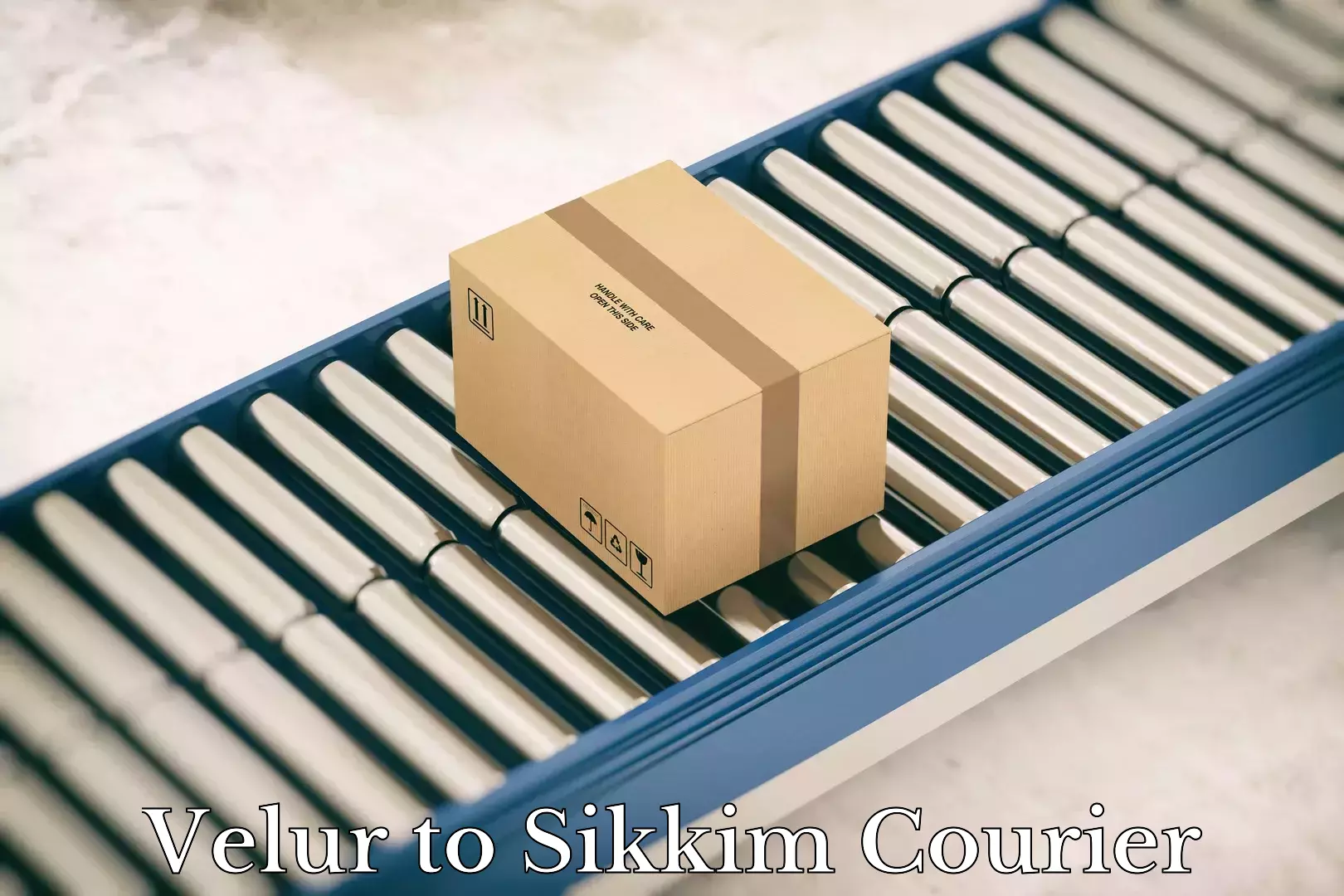 Automated shipping Velur to Sikkim