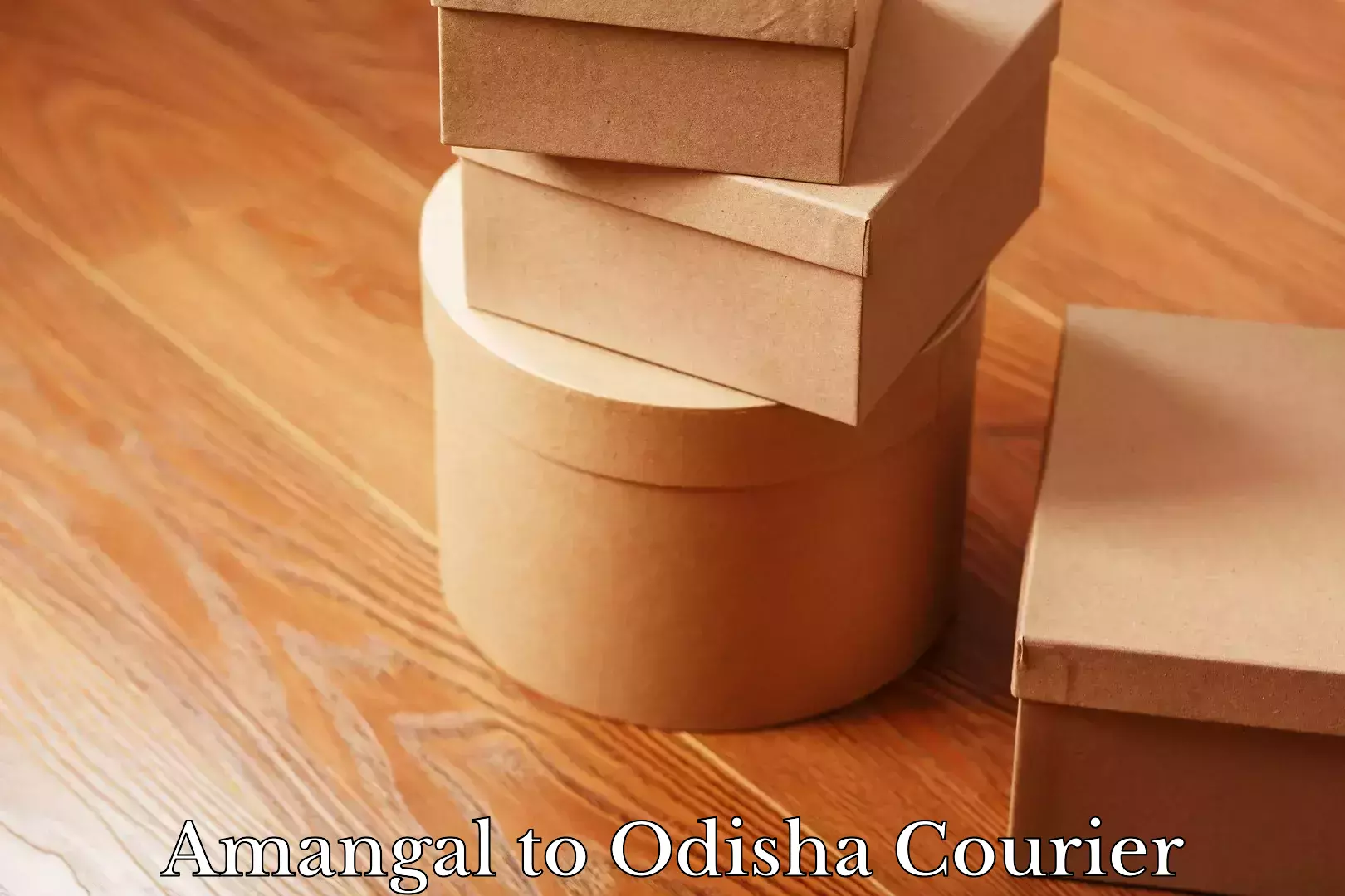 On-call courier service Amangal to Odisha