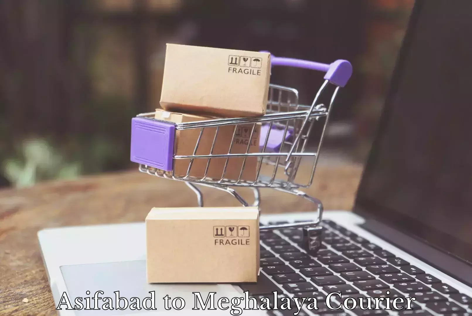 Personal parcel delivery Asifabad to NIT Meghalaya