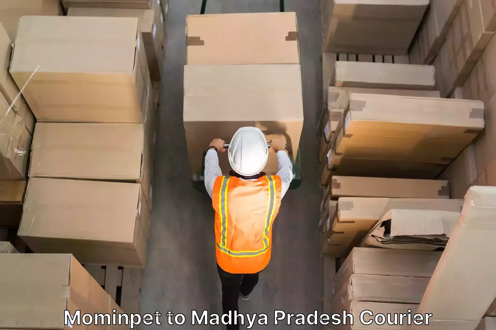 Professional goods transport in Mominpet to Madhya Pradesh