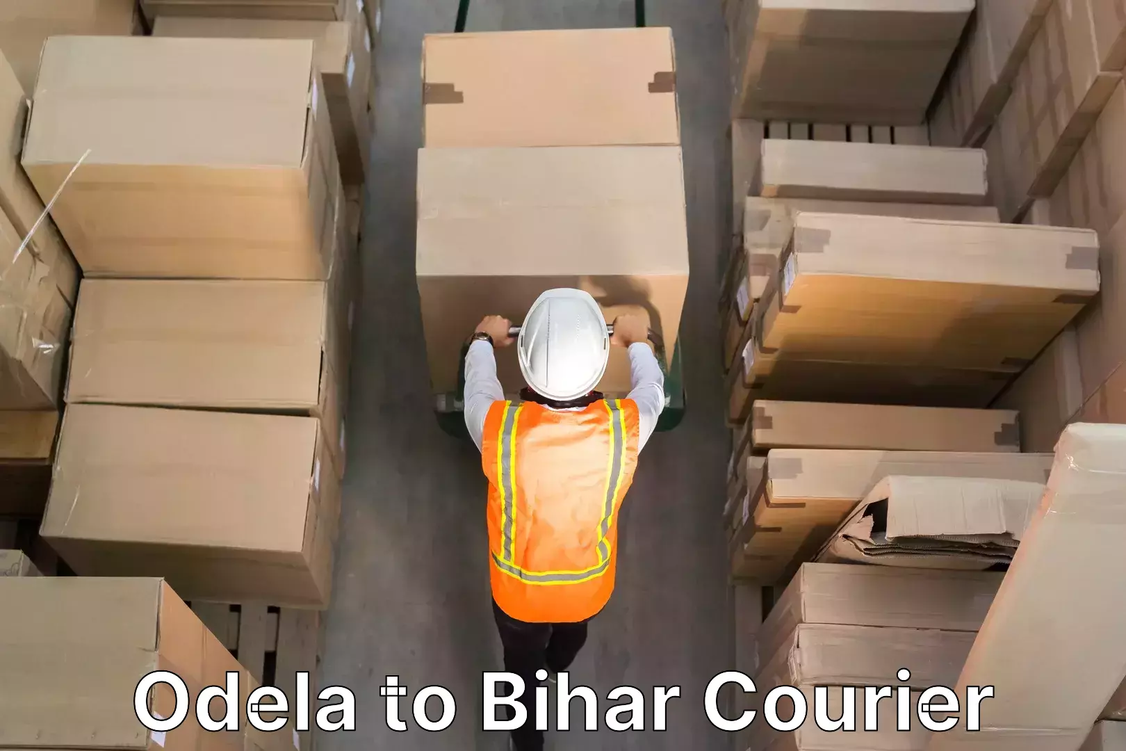 Cost-effective moving options Odela to Barh