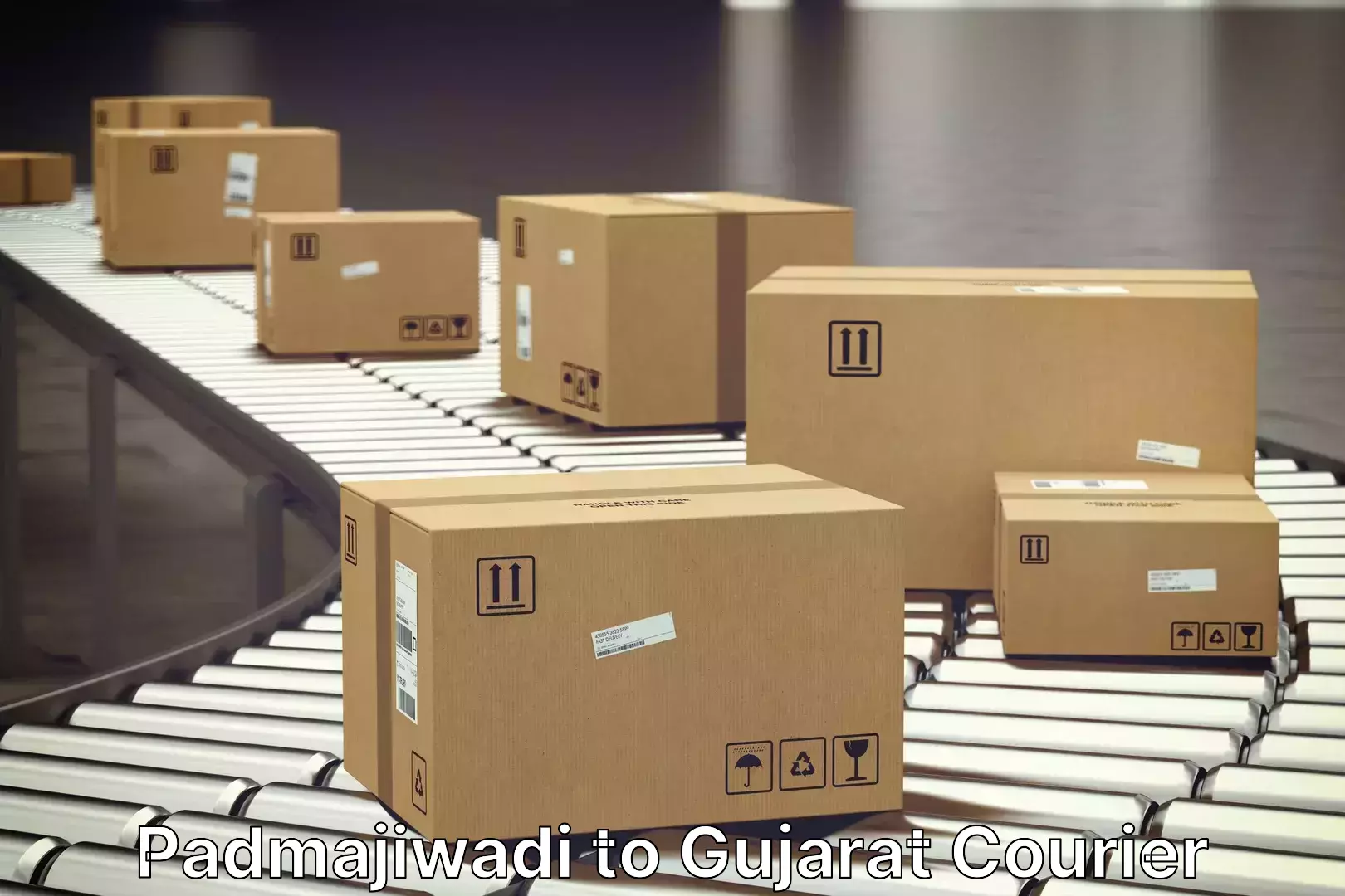 Furniture moving experts in Padmajiwadi to Gujarat