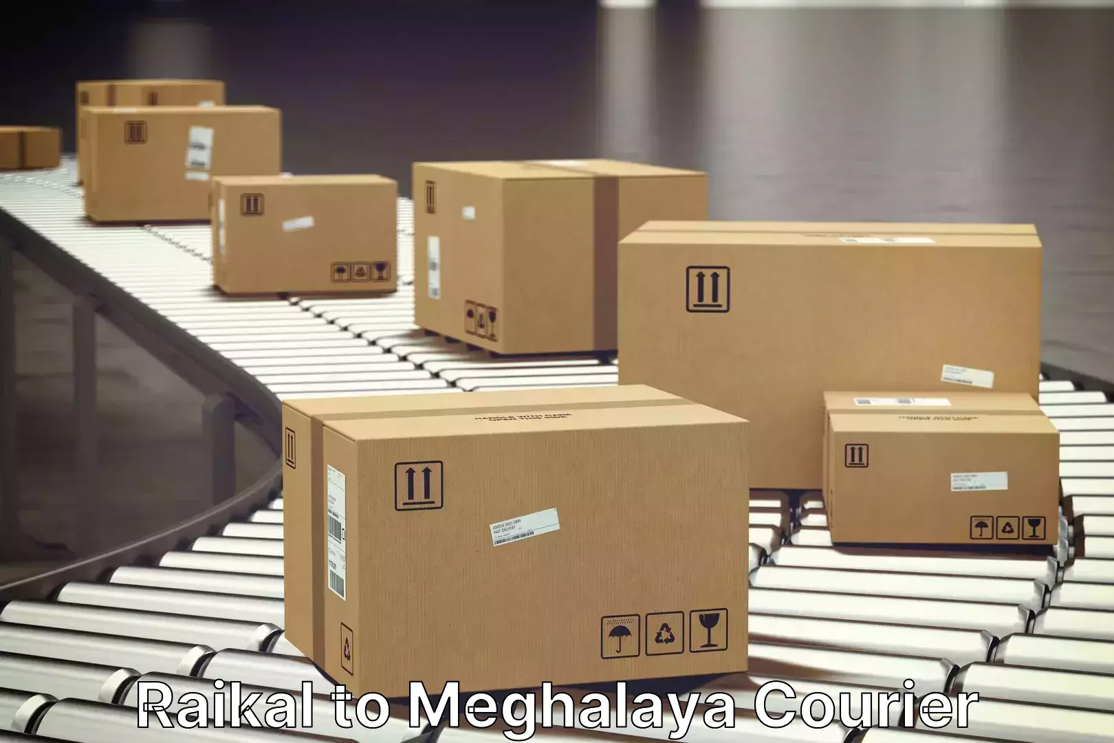 Furniture moving experts Raikal to Meghalaya