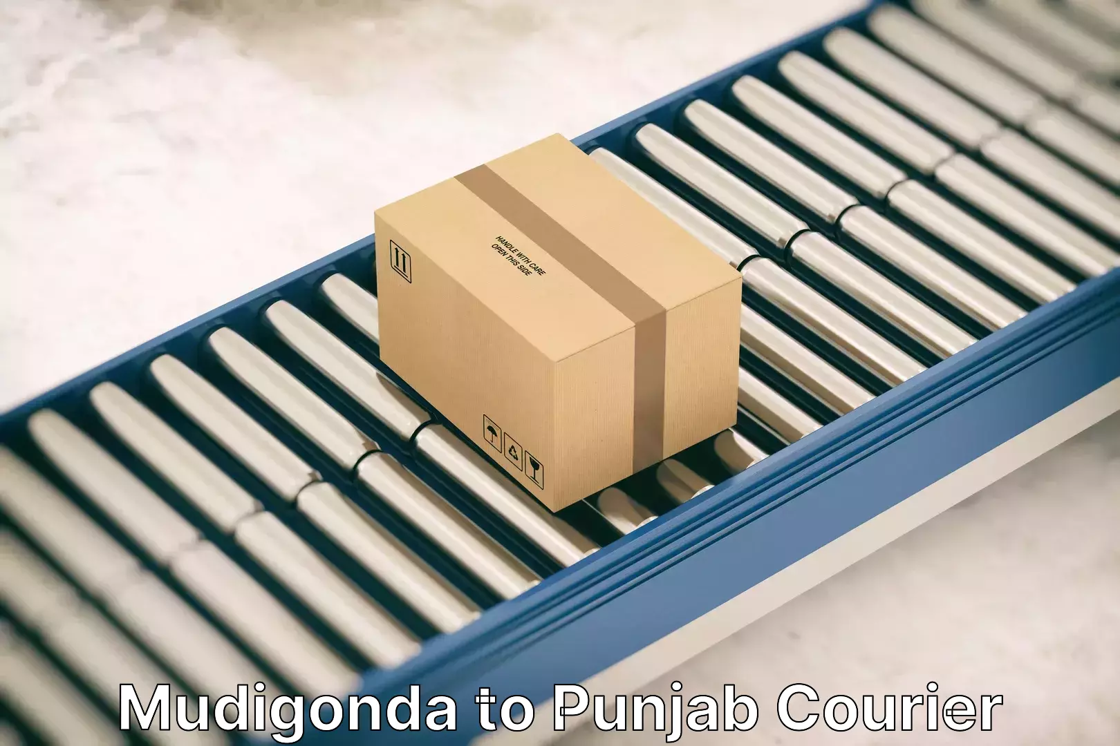 Smooth moving experience Mudigonda to Punjab
