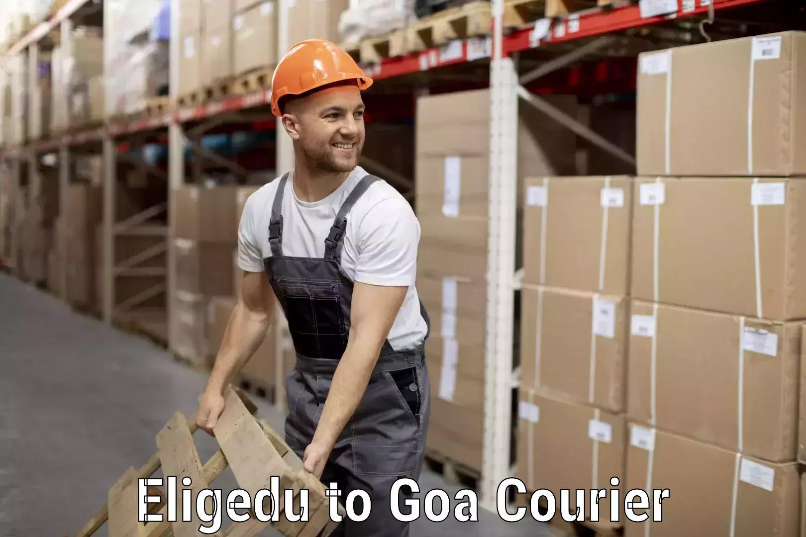 Affordable luggage shipping Eligedu to Goa