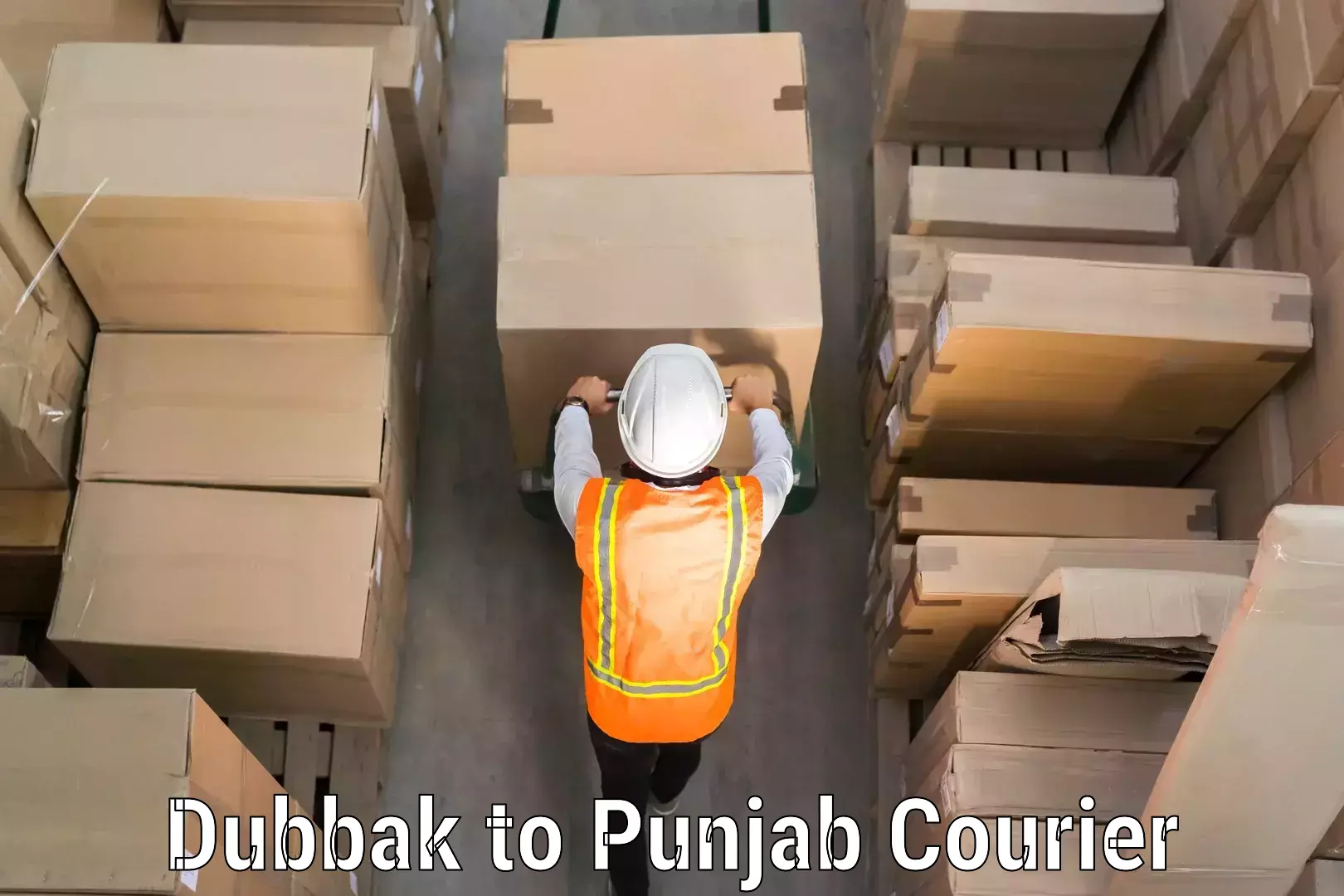 Baggage shipping experts Dubbak to Punjab