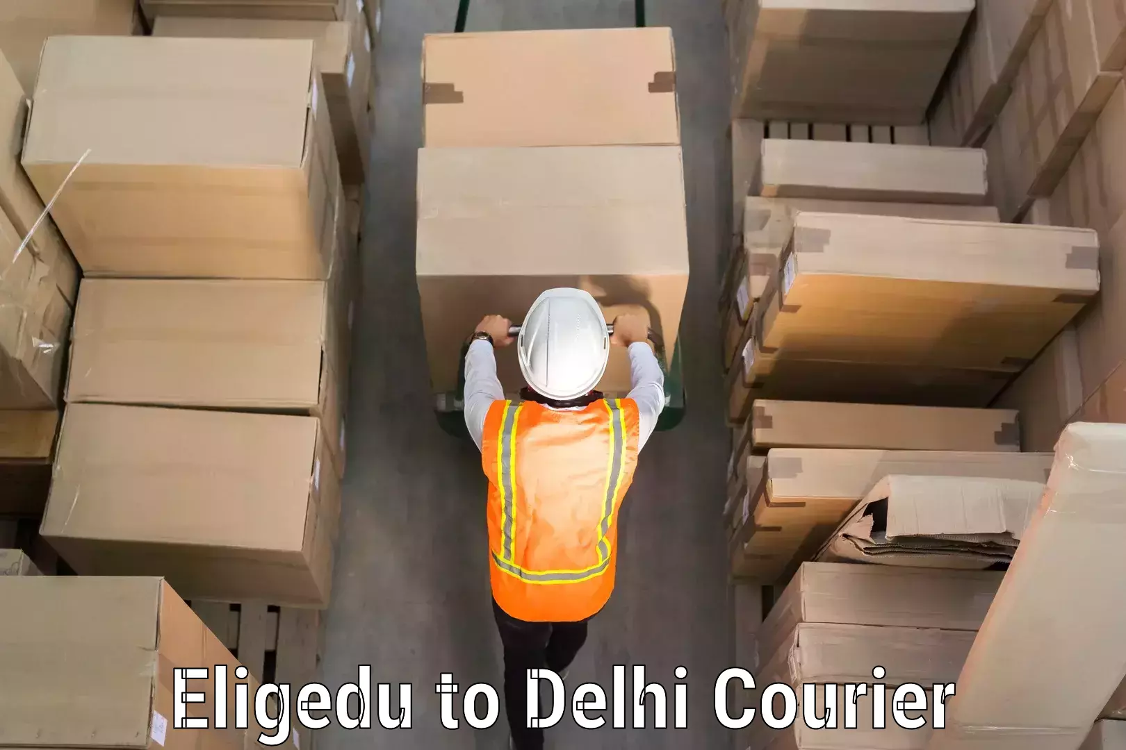 Instant baggage transport quote Eligedu to Delhi Technological University DTU