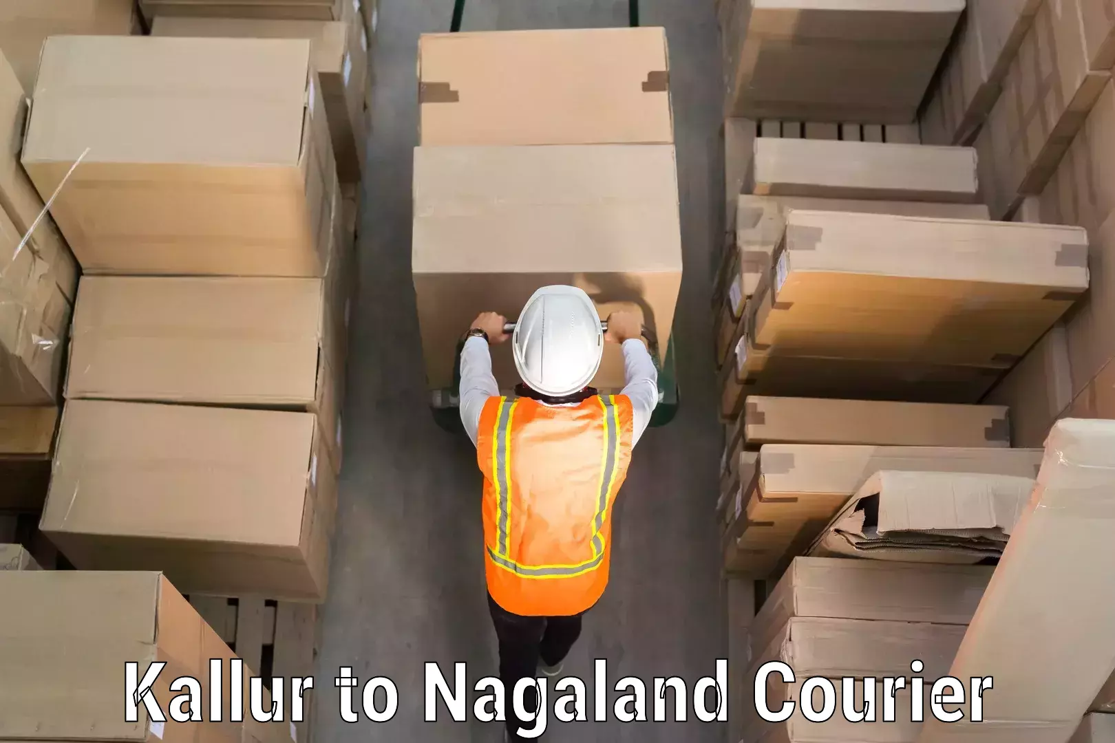 Baggage handling services in Kallur to NIT Nagaland