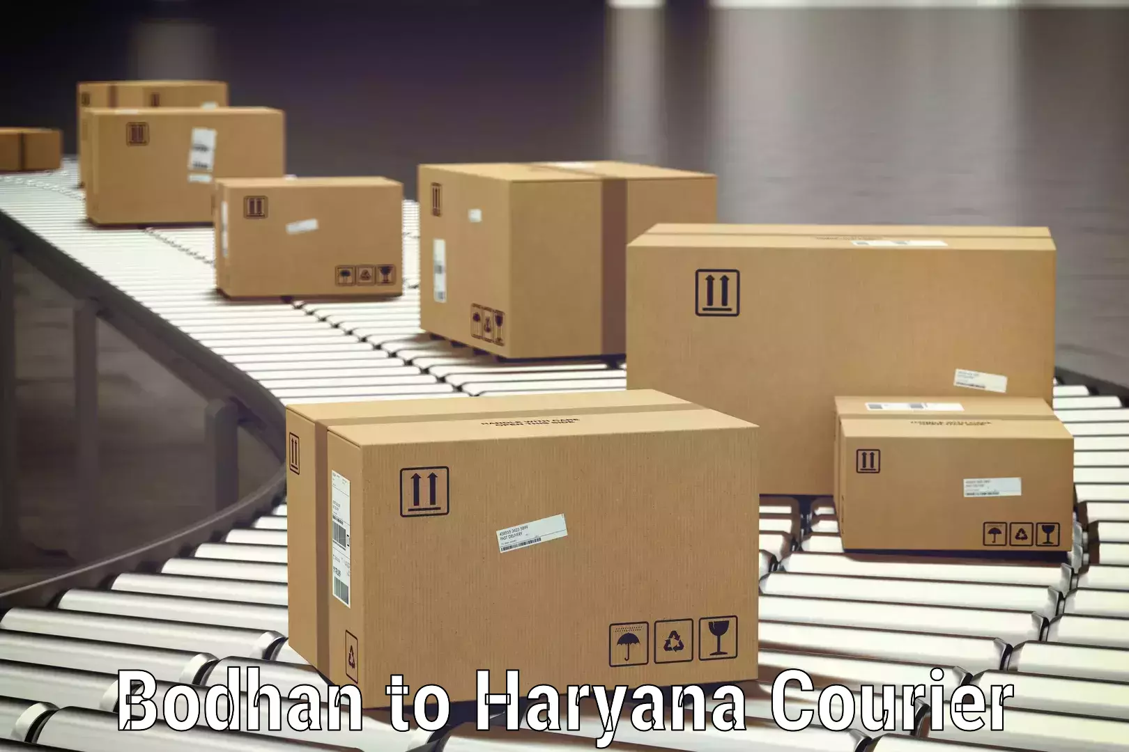 Reliable baggage delivery Bodhan to Bhiwani