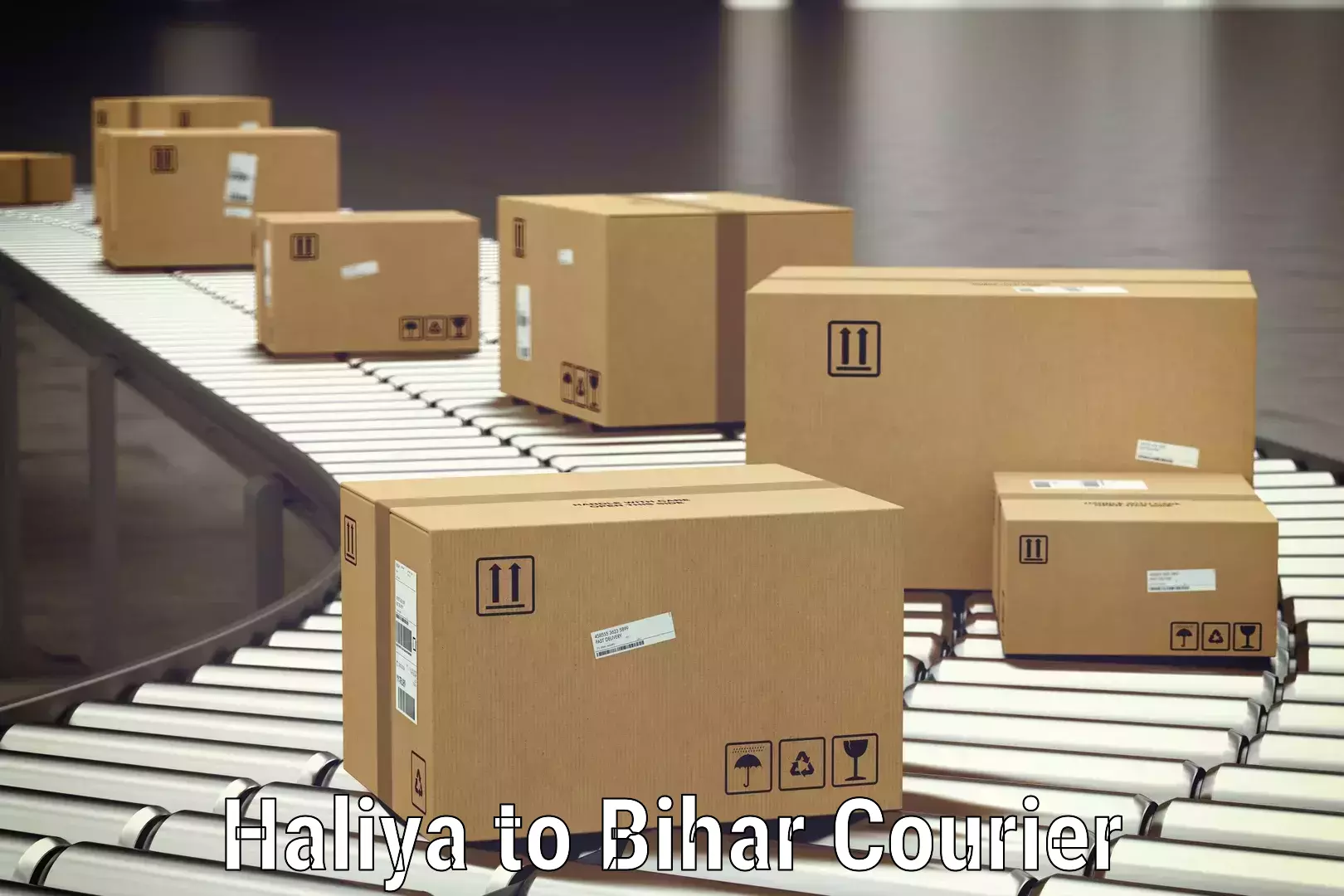 Luggage courier logistics Haliya to Surajgarha