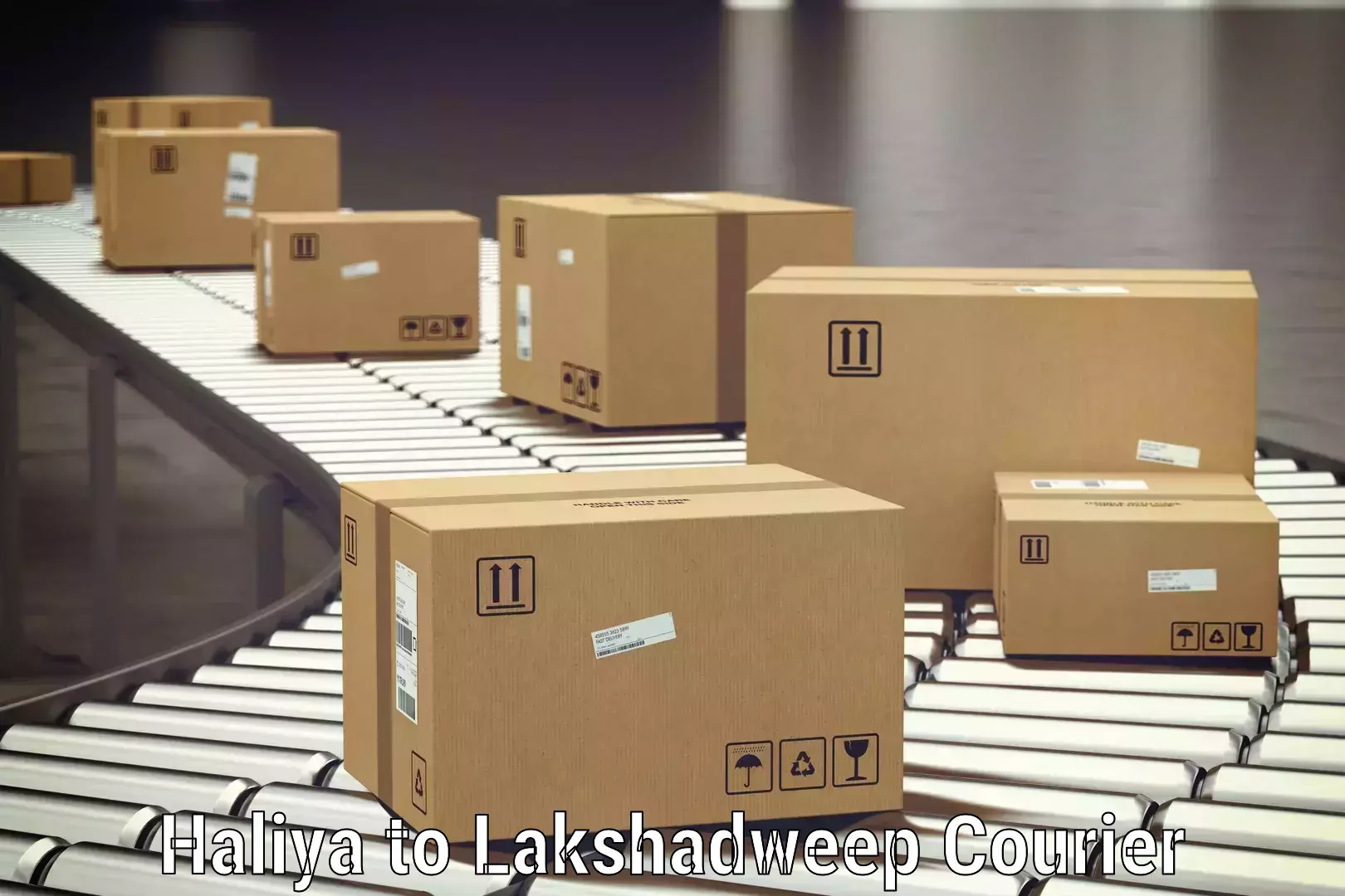 Luggage delivery network Haliya to Lakshadweep