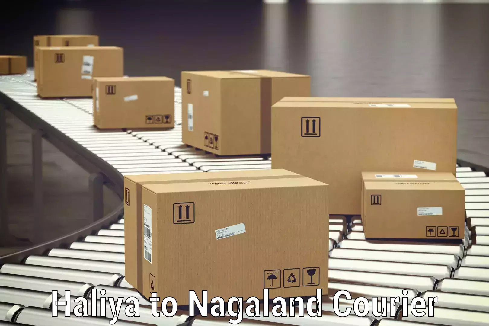Excess baggage transport Haliya to Nagaland