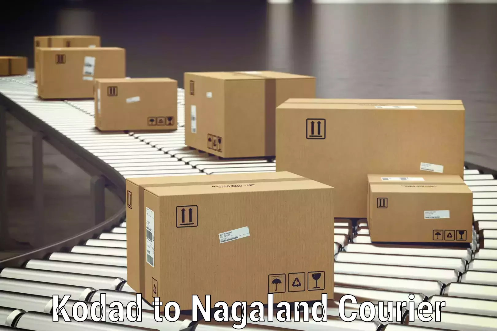 Personal baggage courier Kodad to Nagaland