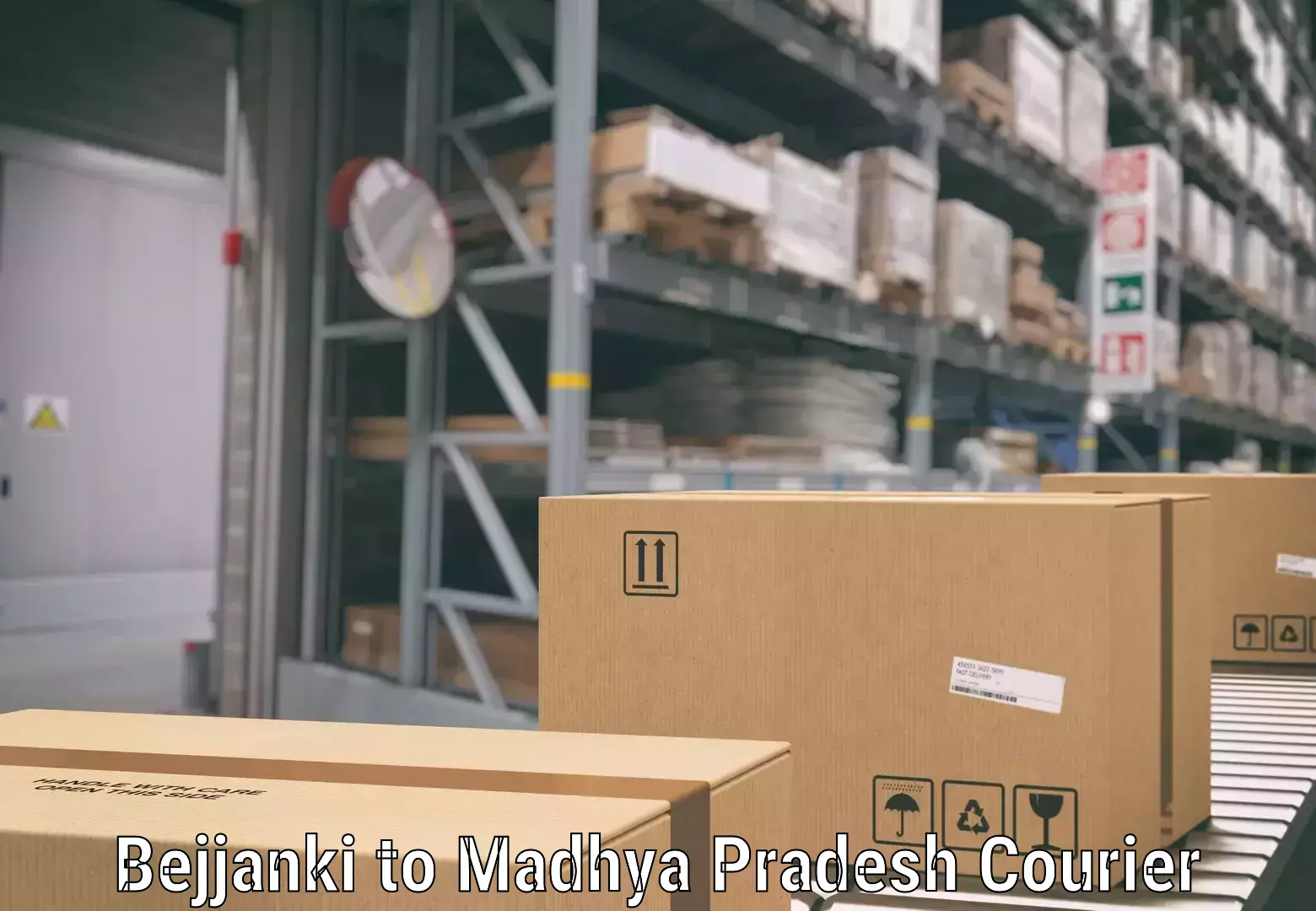 Luggage shipping efficiency Bejjanki to Mandideep