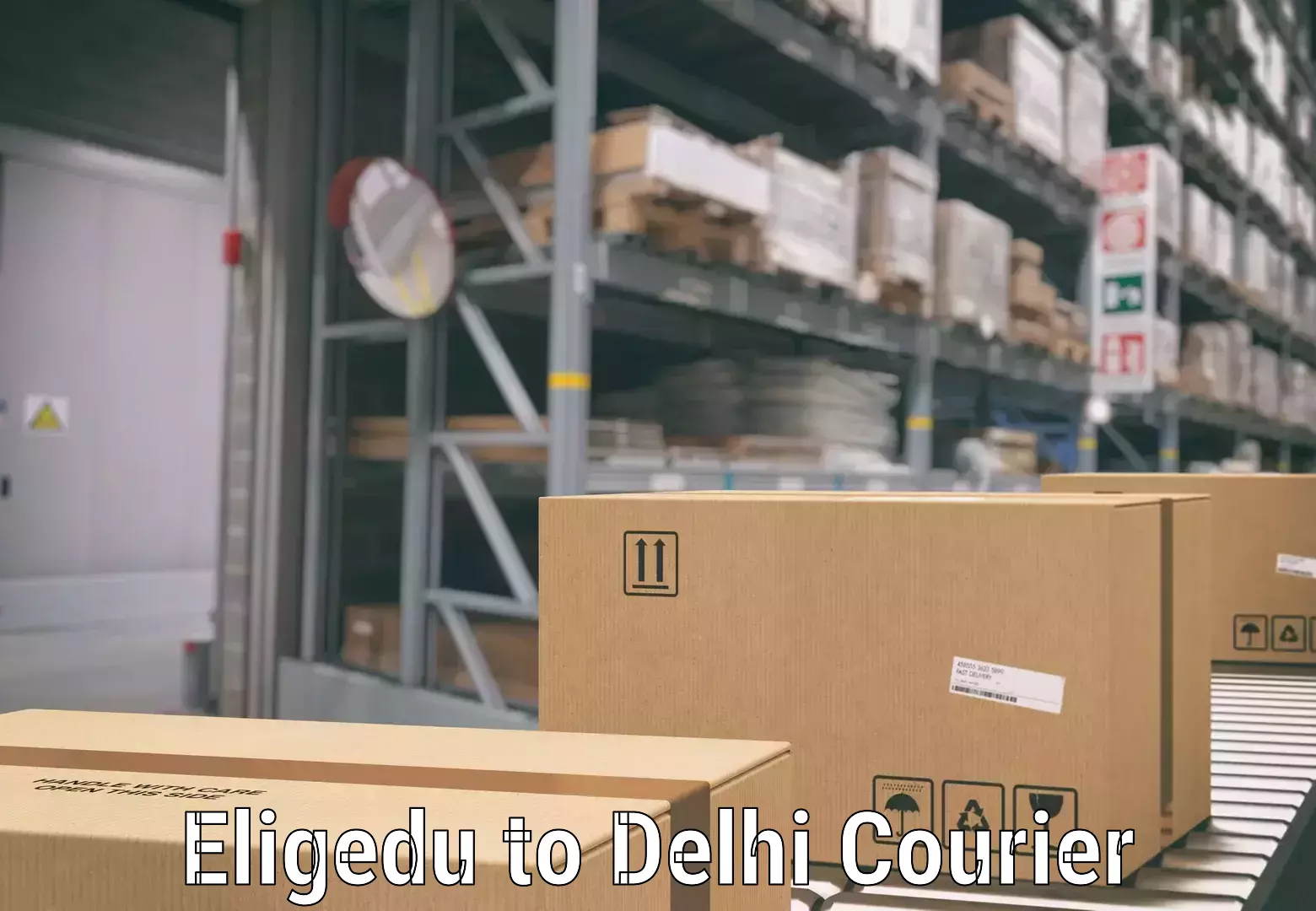 Direct baggage courier Eligedu to Delhi