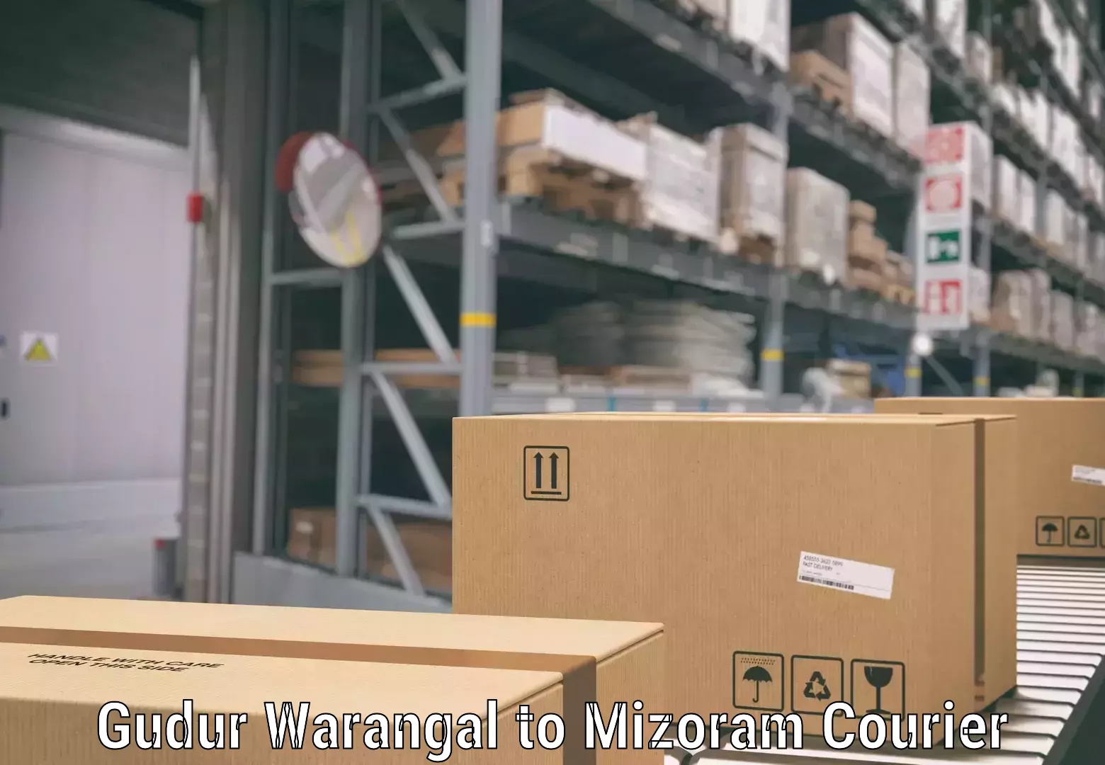 Hassle-free luggage shipping Gudur Warangal to Mizoram University Aizawl