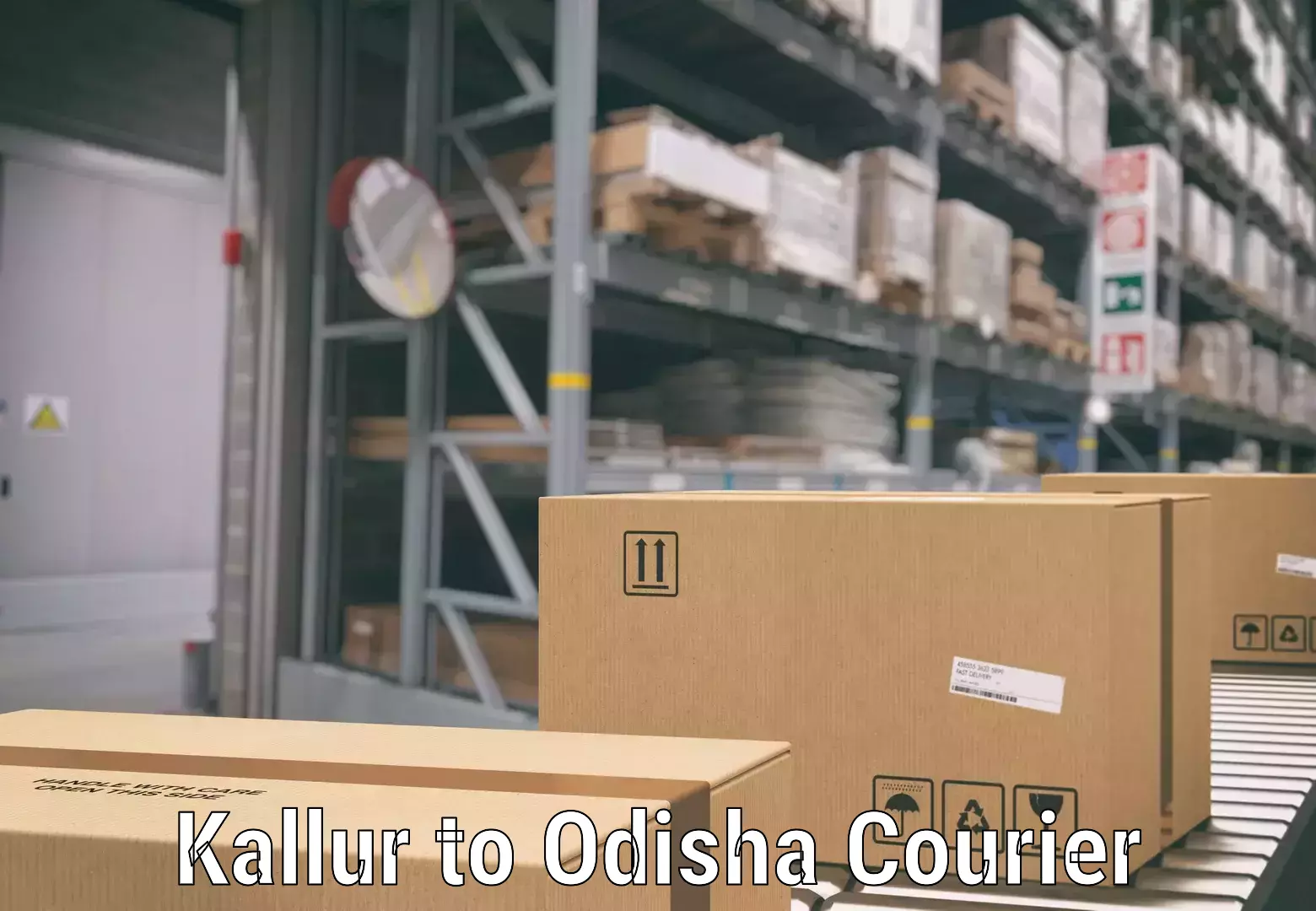 Door-to-door baggage service Kallur to Odisha