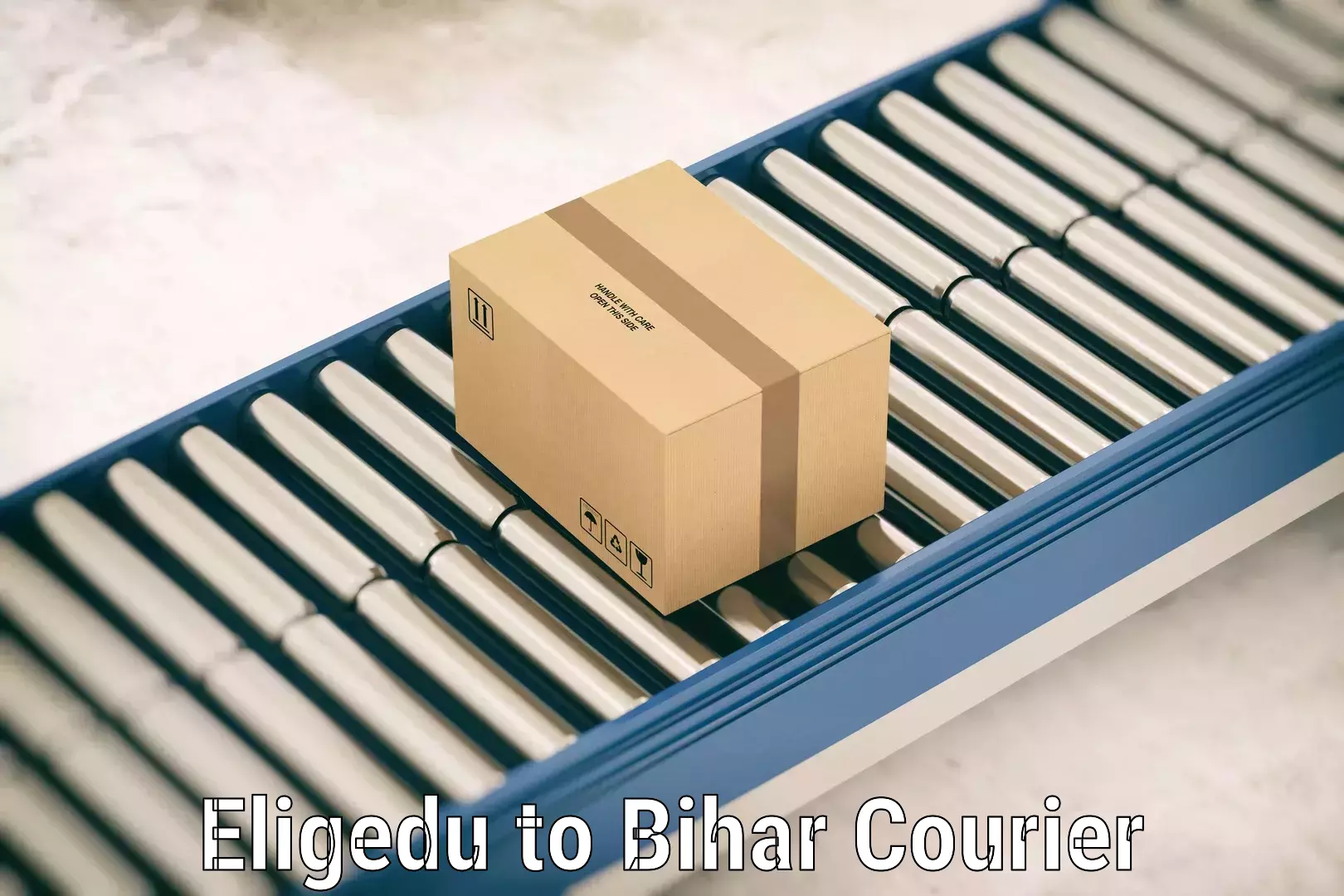 Flexible luggage courier service Eligedu to Bihar