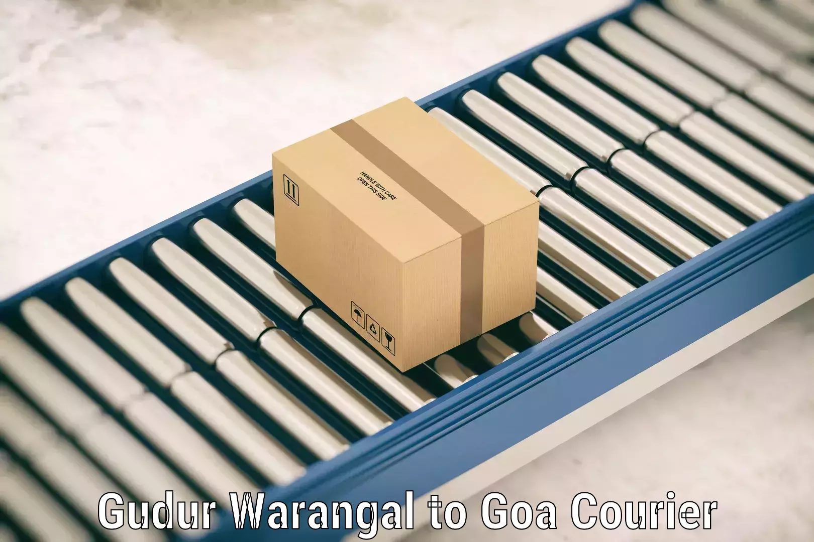 Luggage delivery operations Gudur Warangal to Goa