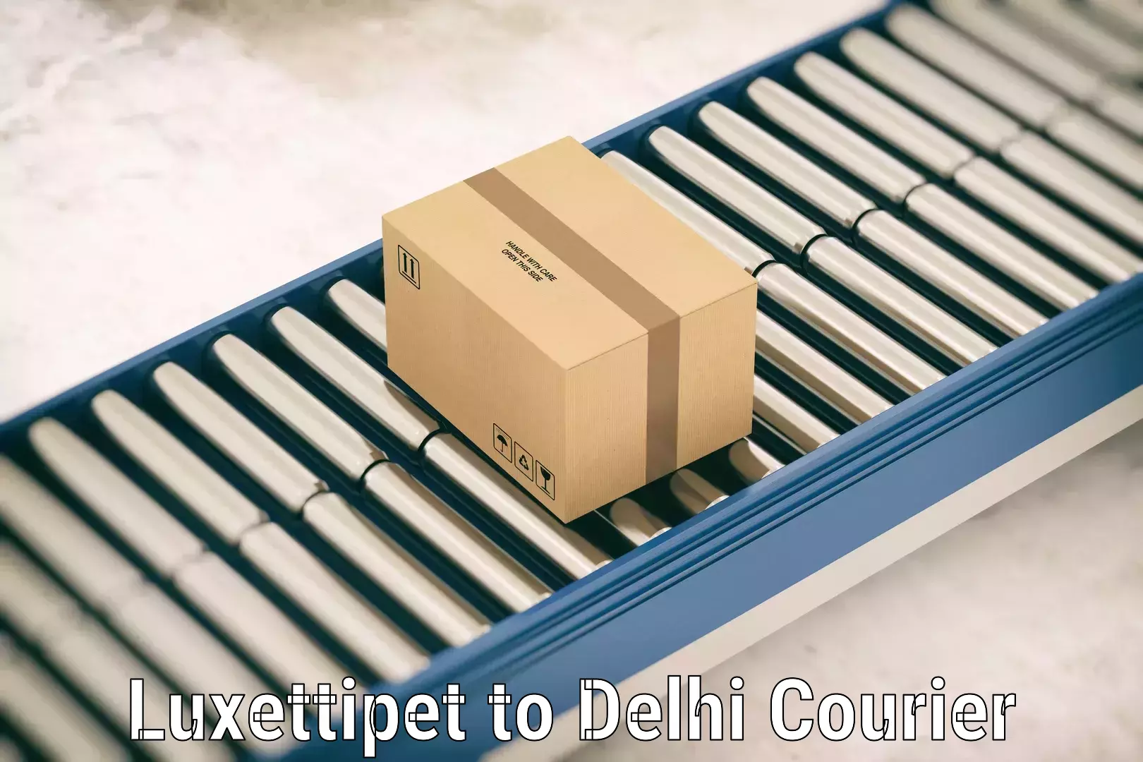 Online luggage shipping booking Luxettipet to Delhi