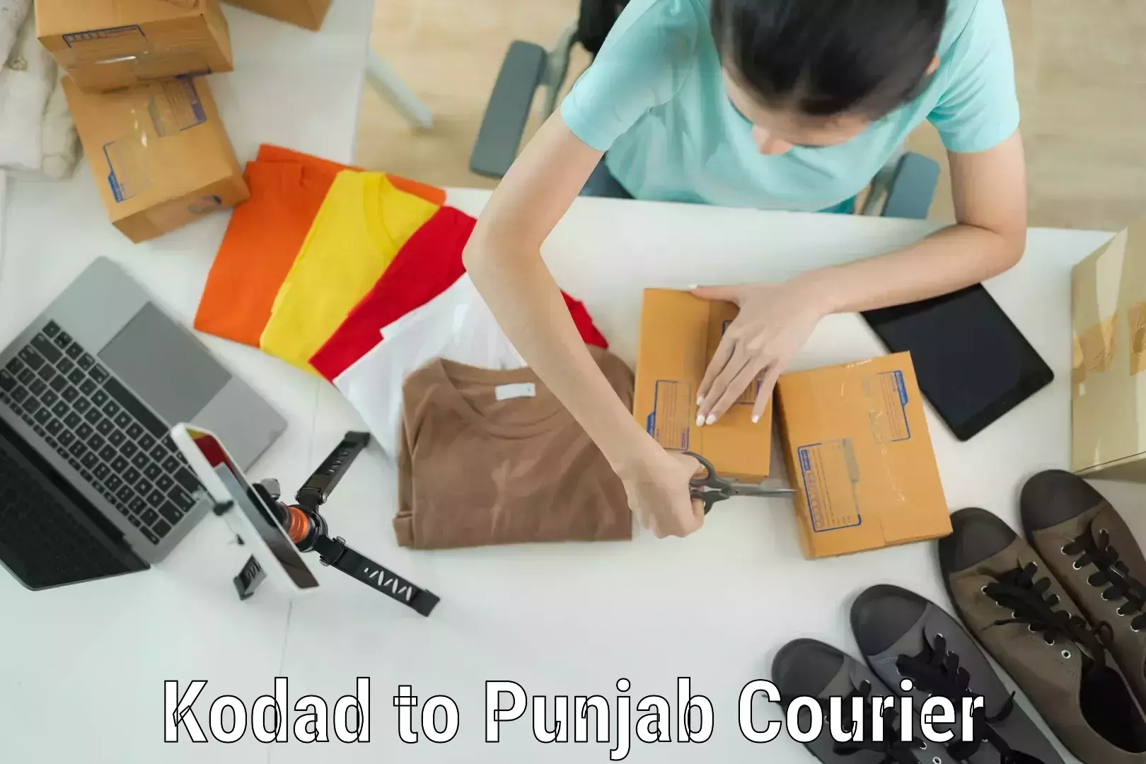 Luggage shipping options Kodad to Central University of Punjab Bathinda