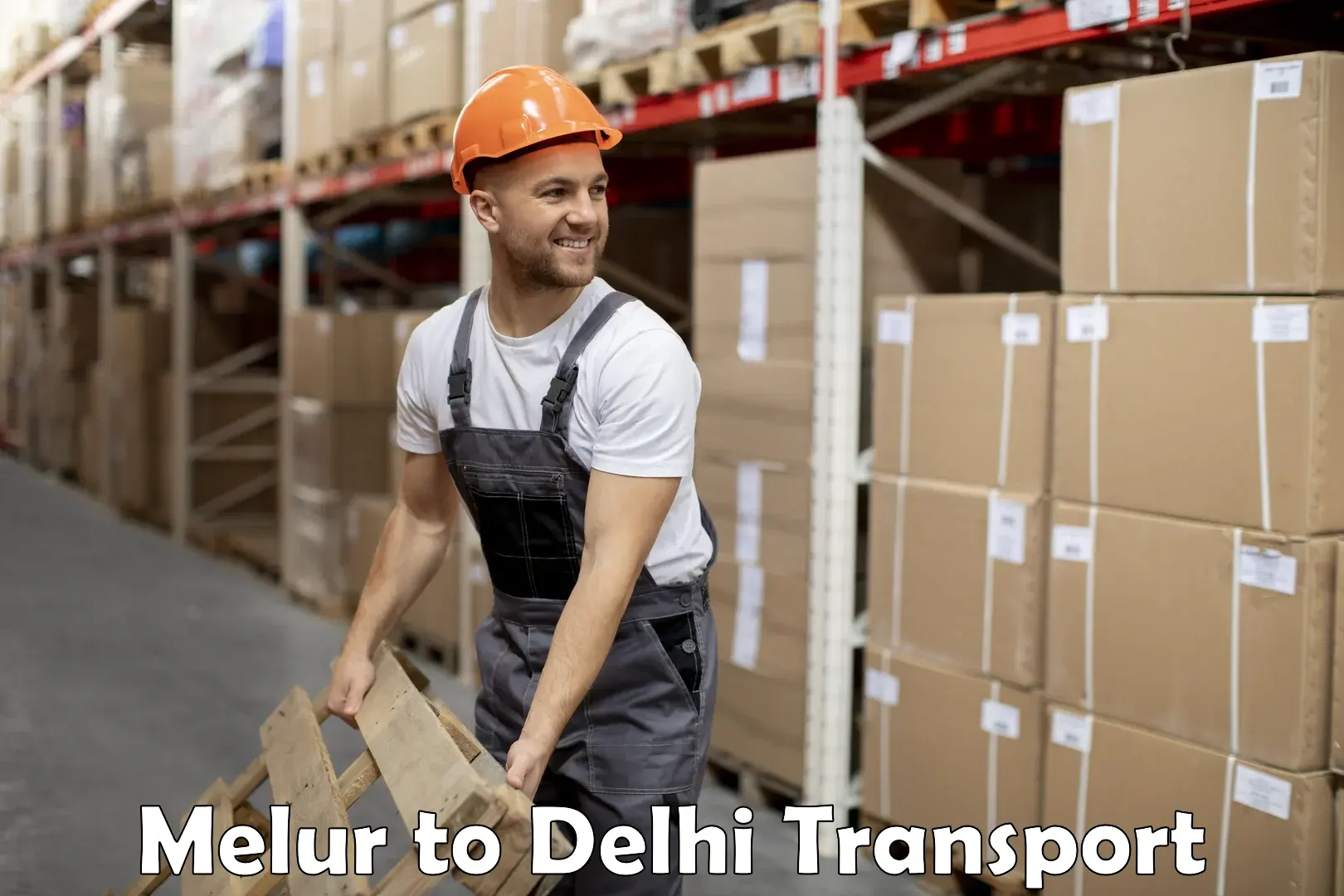 Transport shared services Melur to Delhi