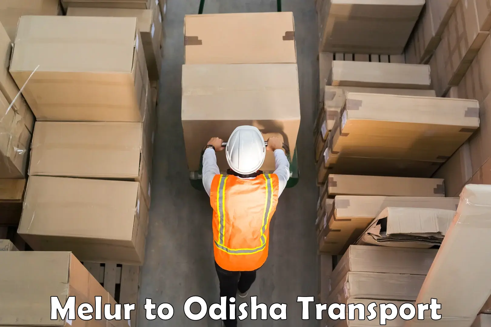 India truck logistics services Melur to Odisha