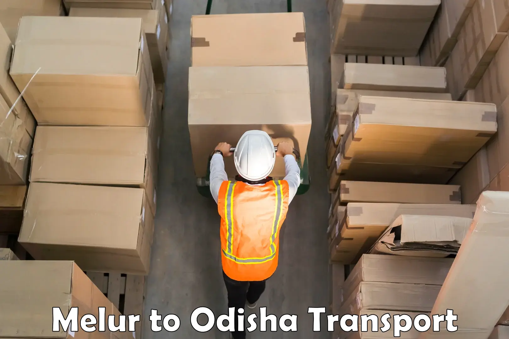 Cargo transport services Melur to Siksha O Anusandhan Bhubaneswar