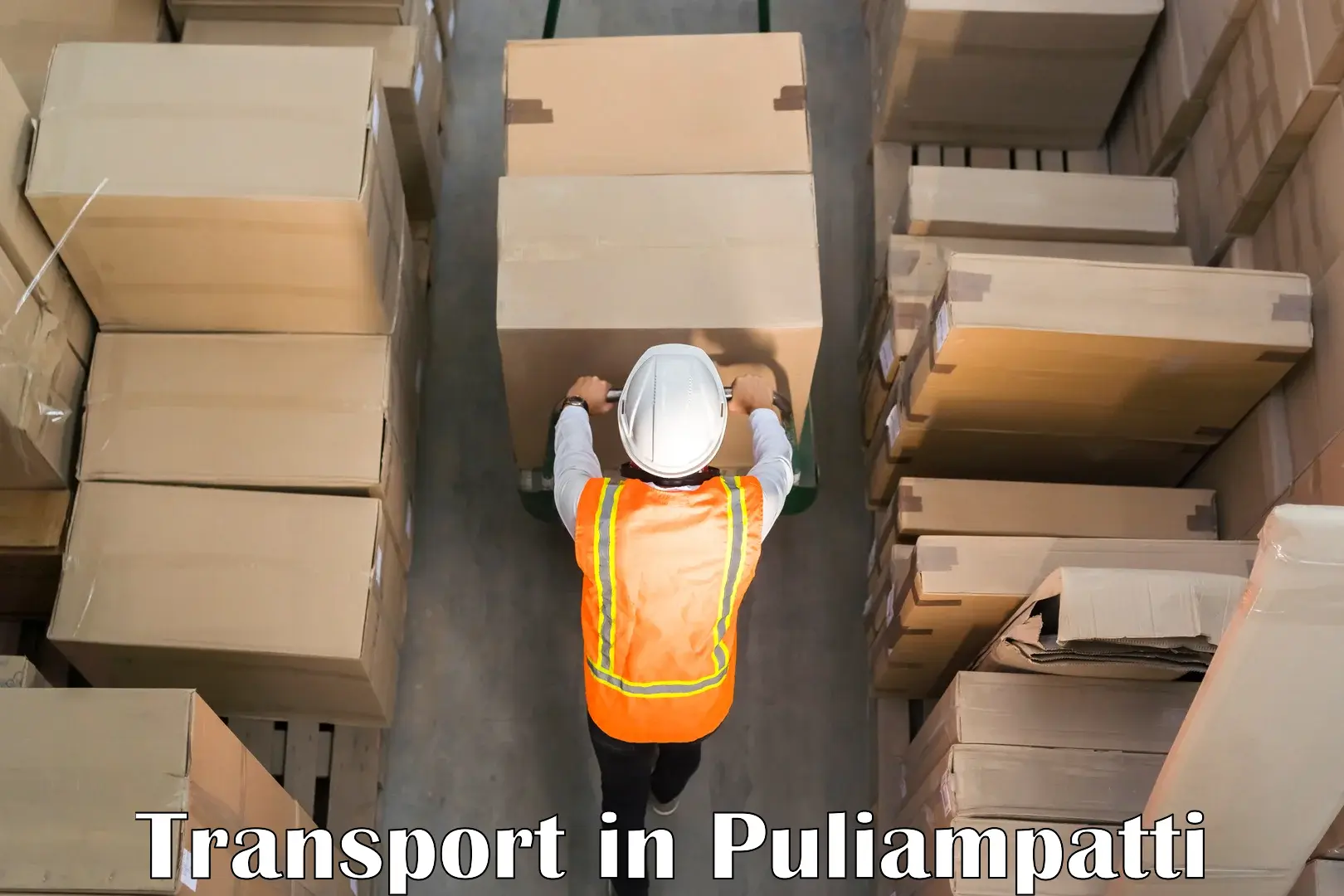 Cargo transportation services in Puliampatti