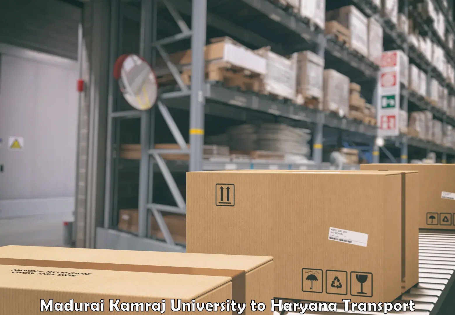 Container transport service Madurai Kamraj University to Palwal